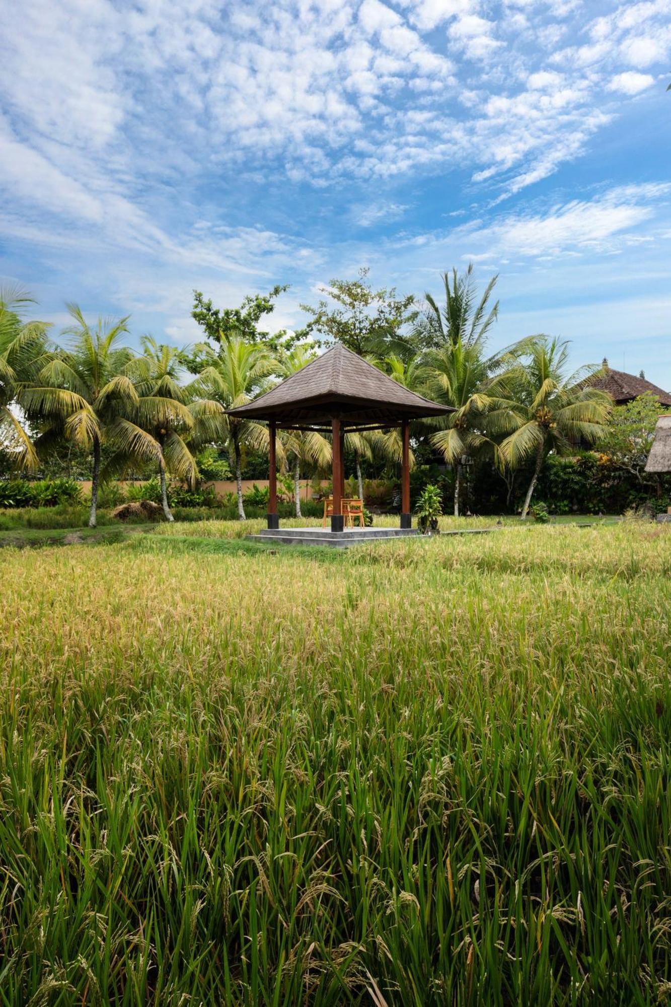 Svarga Bebek Villas Ubud  Bagian luar foto